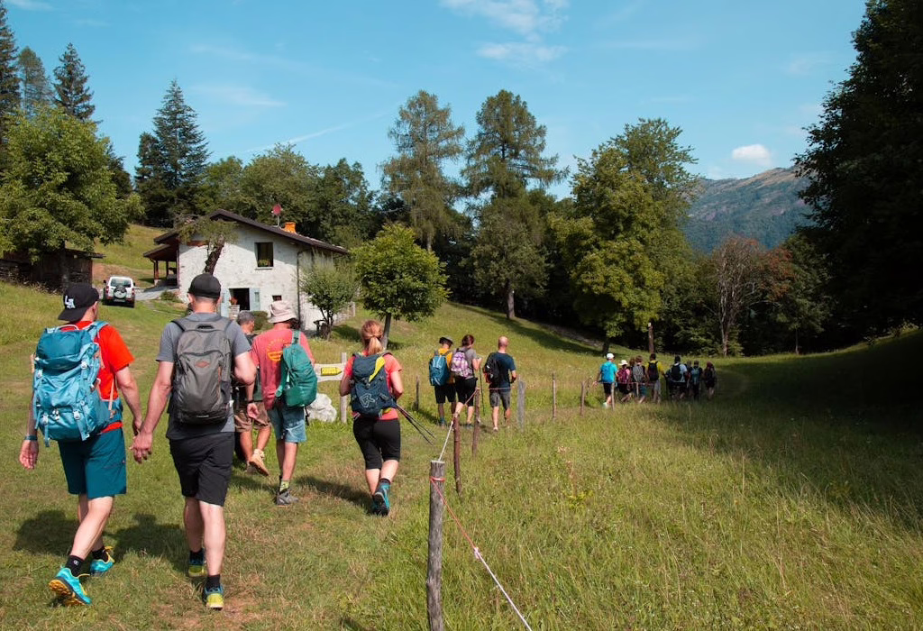 Group of hikers walking along a forest trail in Desierto de los Leones National Park near Mexico City, surrounded by trees and mountain scenery