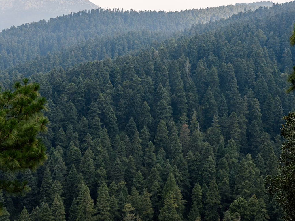 Parques Nacionales de México: Los 10 mejores parques de la Ciudad de México