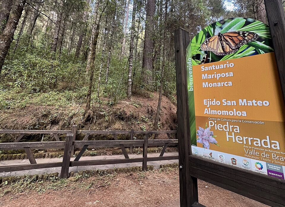 Entrance to the Monarch Butterfly Sanctuary in Mexico, welcoming visitors to witness the migration of thousands of butterflies in a breathtaking natural setting.