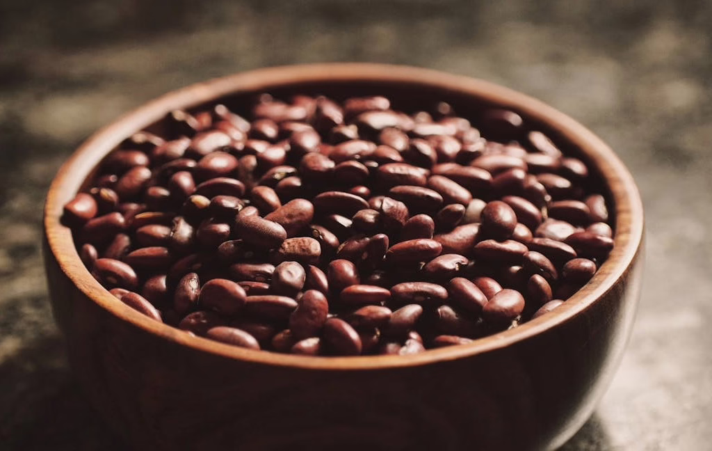 La comida maya y los antiguos secretos de su gastronomía