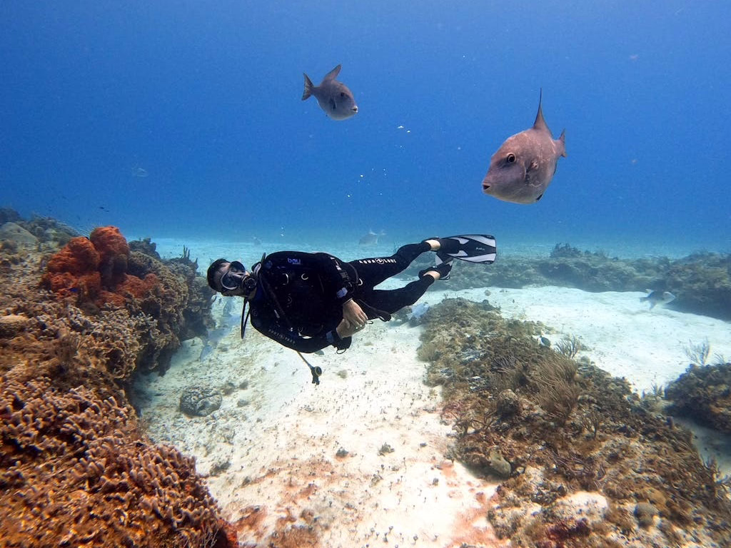 Playa Cozumel México: Explorando el paraíso caribeño de México