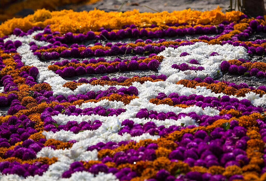 Colorful flower carpet in Mixquic with marigolds, white, and purple blossoms arranged in Day of the Dead patterns.
