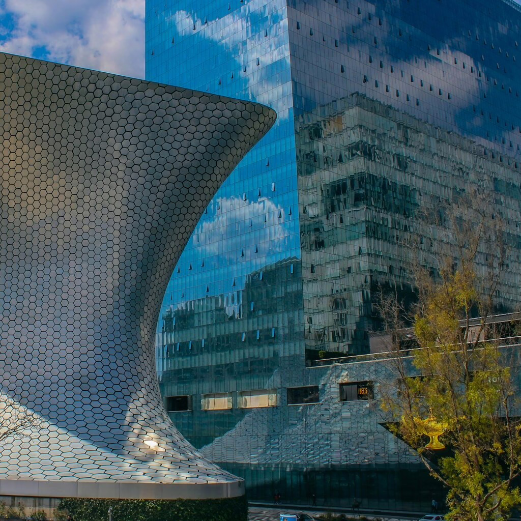 Barrios de Ciudad de México: Un viaje de tesoros diversos