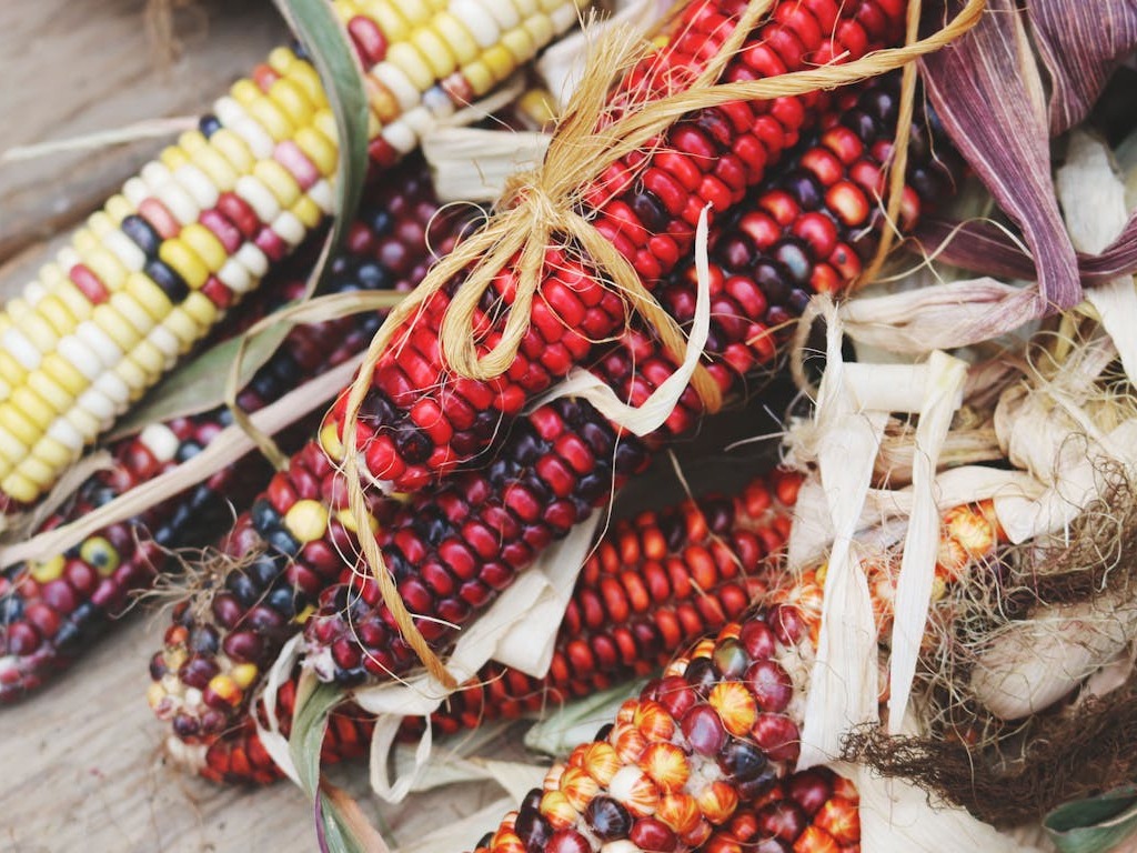 Aztec Food: A Dive into Ancient Recipes