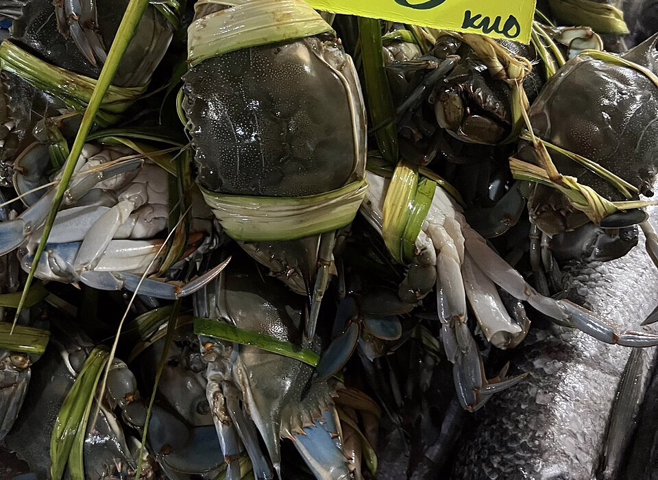 Fresh crabs tied with palm leaves at a seafood market in Veracruz, ready for cooking traditional dishes that highlight the coastal flavors of Mexico