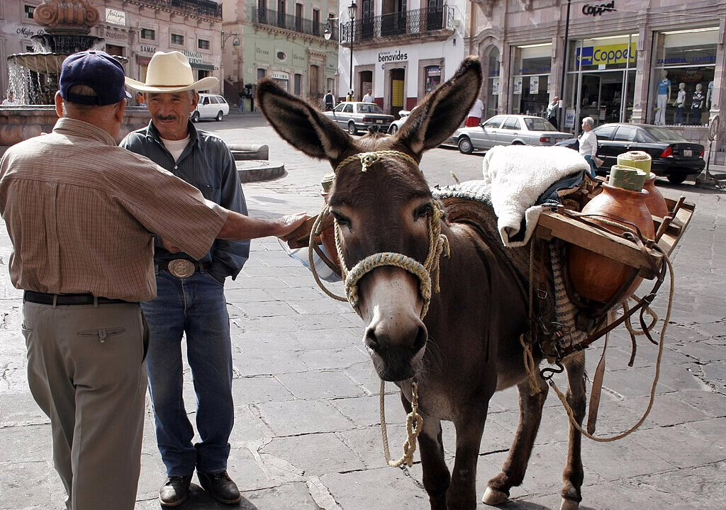 Two men talking in the street while a donkey carries traditional items in the background, symbolizing Mexican culture.