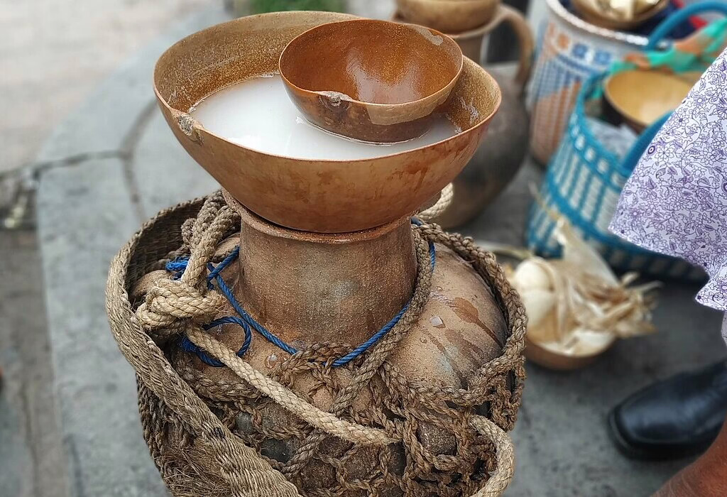 Traditional pulque served in a jícara in Oaxaca, showcasing an ancient Mexican drink in a rustic, local setting.