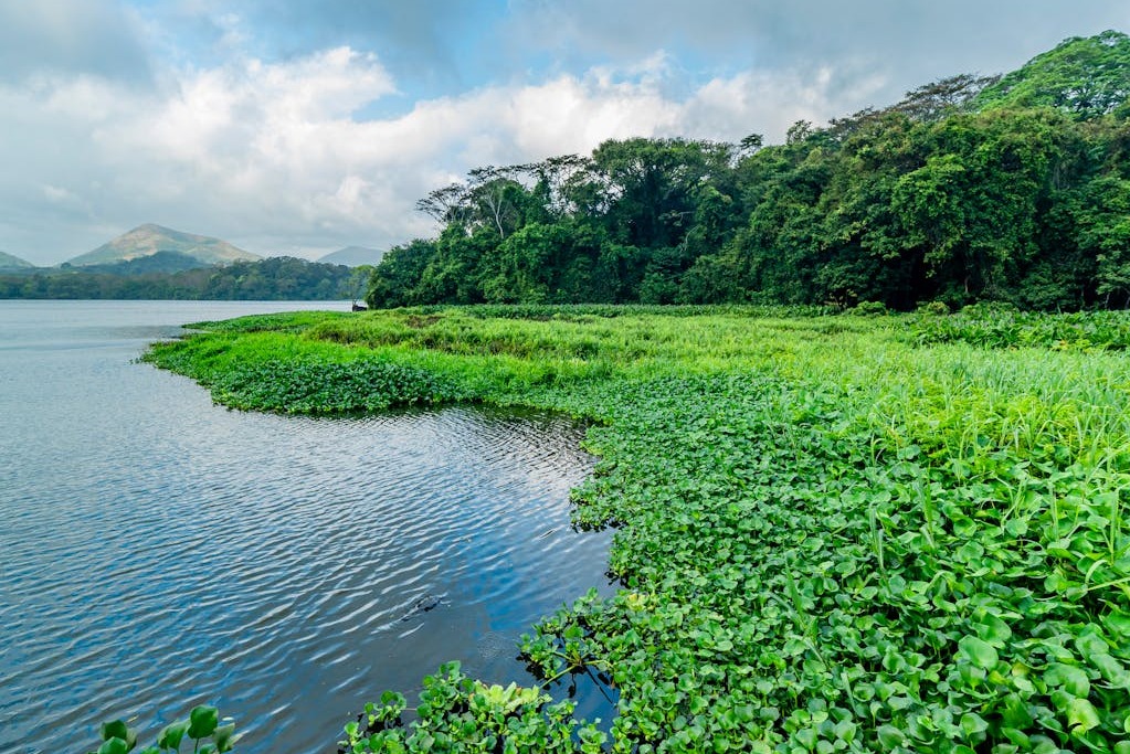 Catemaco Veracruz: Where Shamans and Sorcerers Reign Supreme