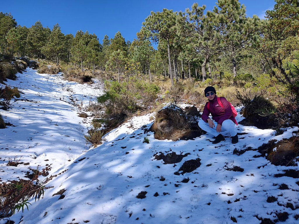 Snow in Mexico on the slopes of Pico de Orizaba, a traveler in winter gear explores the landscape surrounded by pine trees.