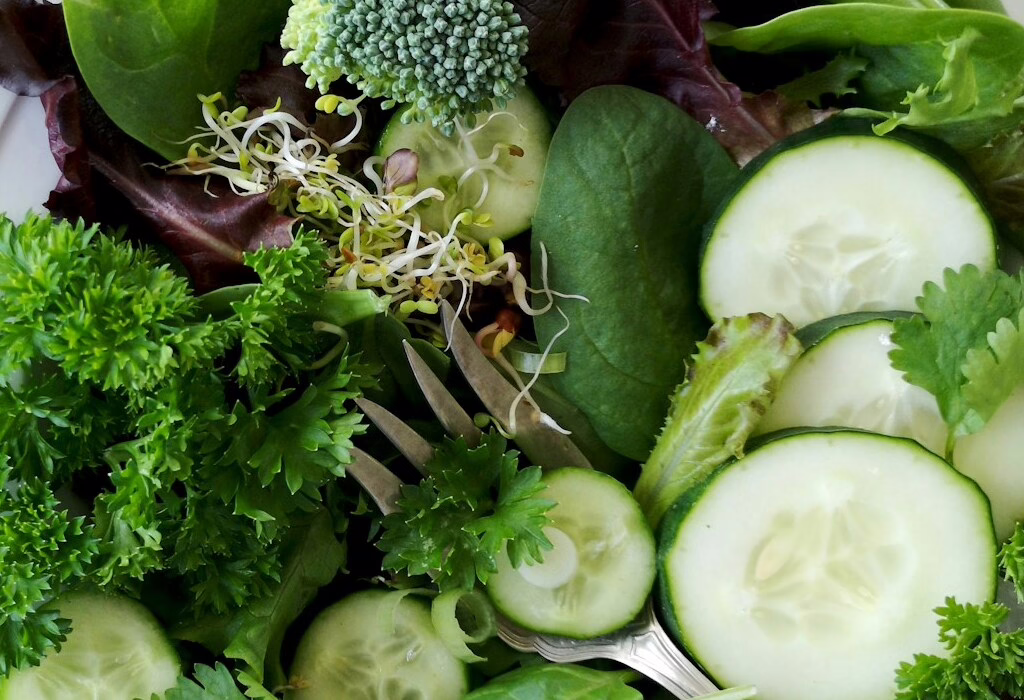 A fresh and healthy salad with cucumber, spinach, and herbs, perfect for a nutritious meal on your travels.