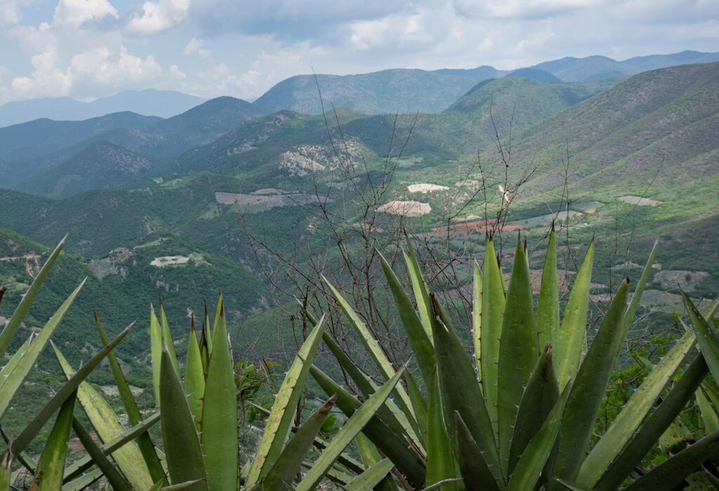 A beautiful mountain view in Oaxaca with agave plants in the foreground, showcasing the lush green valleys and hills.