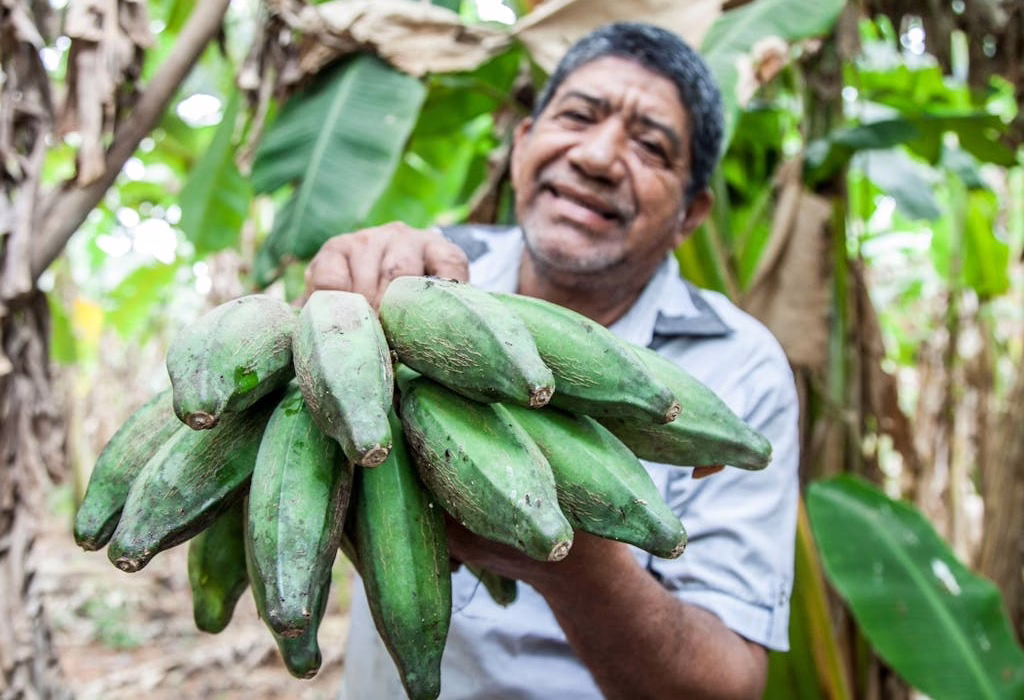 Comida Tradicional de Colombia: De los Platos Maravillosos al Café Exquisito