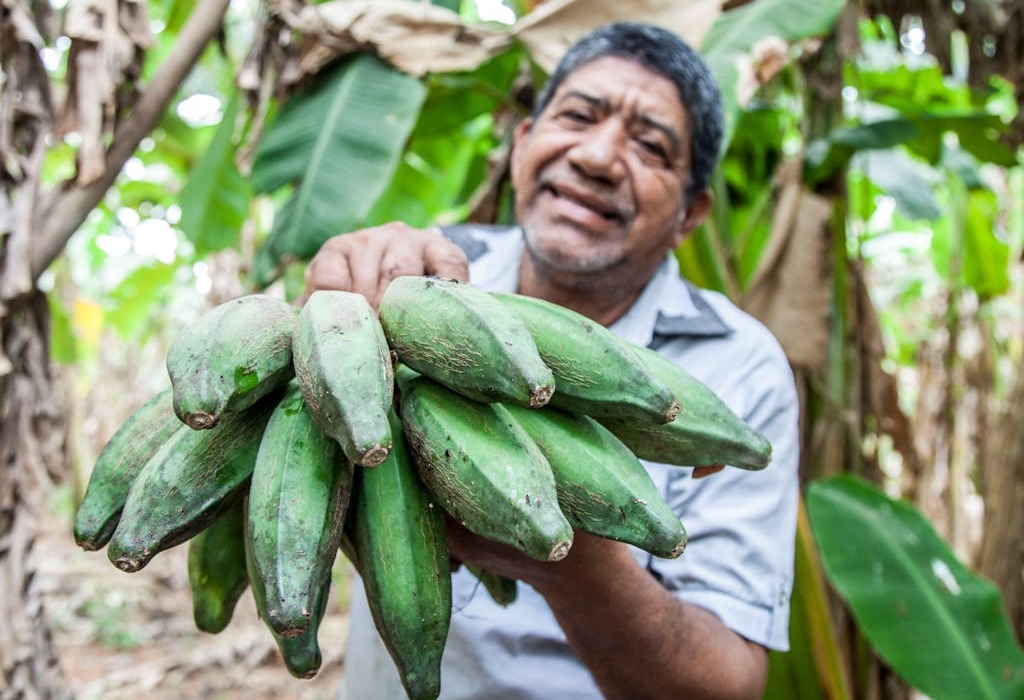 Colombia Traditional Food: From Marvelous Dishes to Exquisite Cafe