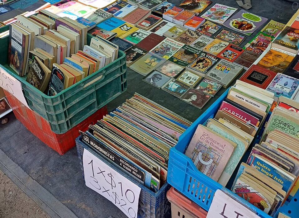 books for sale at a vibrant tianguis market, offering a variety of titles and collectibles, perfect for book lovers exploring Mexico's rich culture.