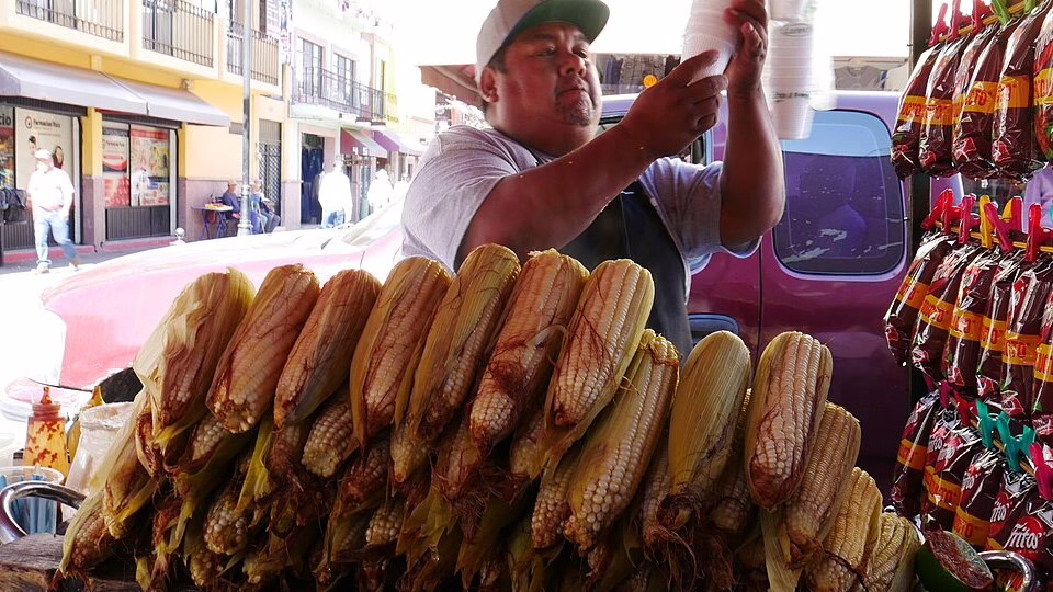 A vendor at a tianguis selling fresh corn on the cob, preparing to serve a customer in the vibrant streets of Calvillo, Mexico.