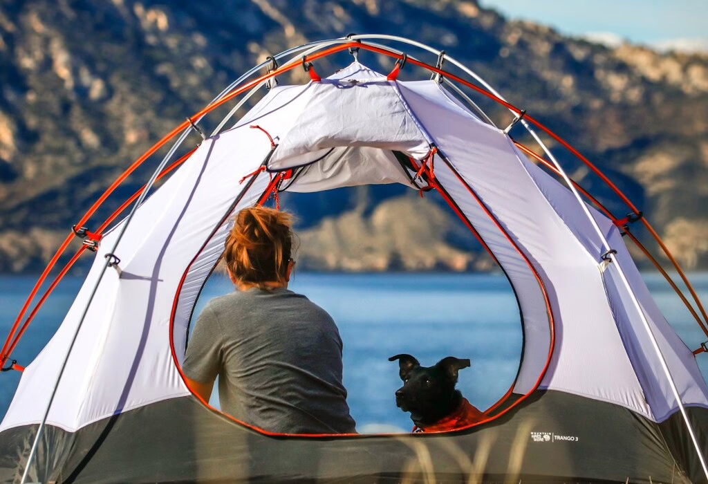 Camper and black dog inside a white tent facing a blue lake and mountains, peaceful morning light and quiet outdoor camping scene.