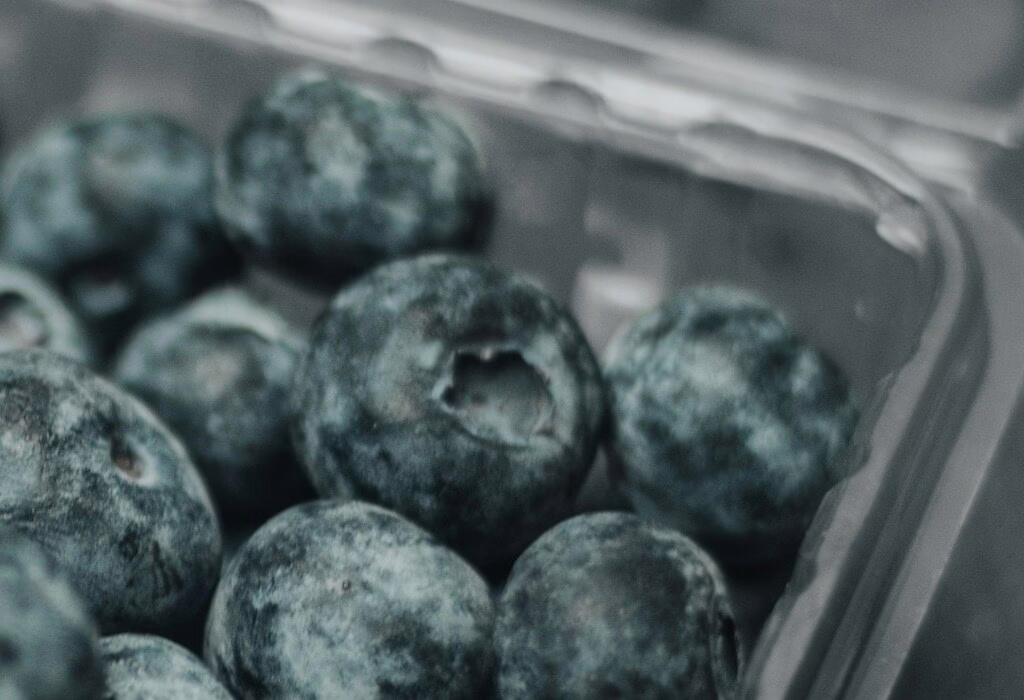 Close-up of fresh blueberries in a plastic box, ready as an easy, mess-free travel snack for flights, trains, road trips, and long days exploring.