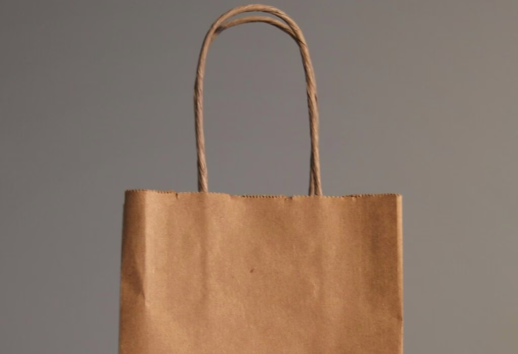 brown paper shopping bag with twisted handles on plain background, eco-friendly choice for packing travel snacks, takeout, and small souvenirs