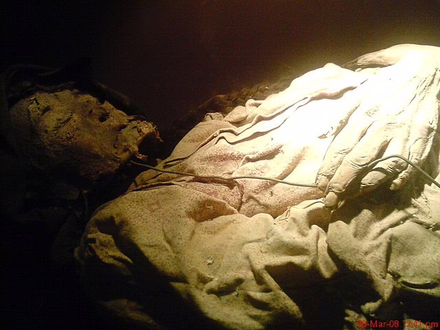 guanajuato mummies