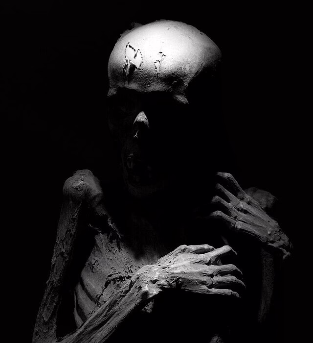 mummies in mexico