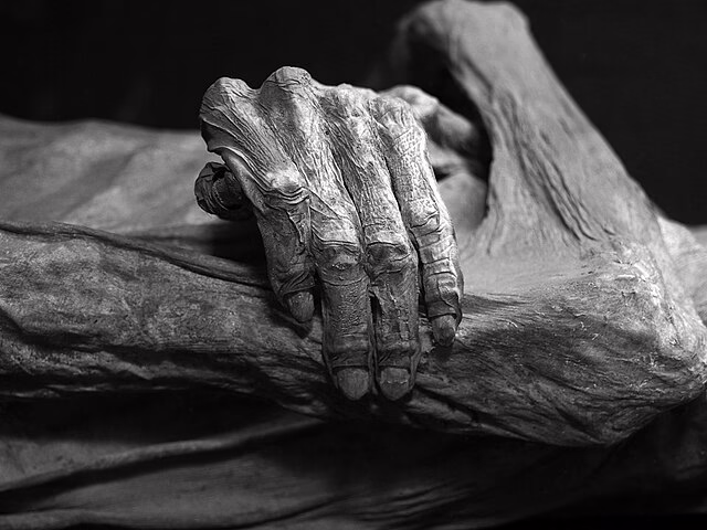 guanajuato mummies
