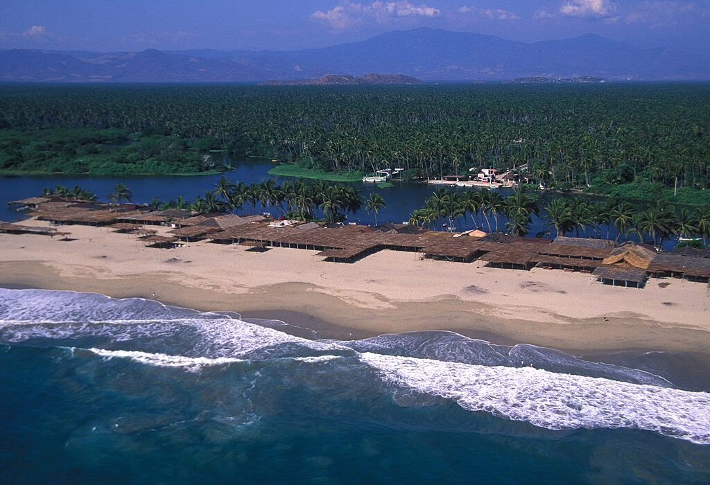 A serene tropical beach with palm trees lining the shore, creating a perfect tropical paradise in Acapulco.