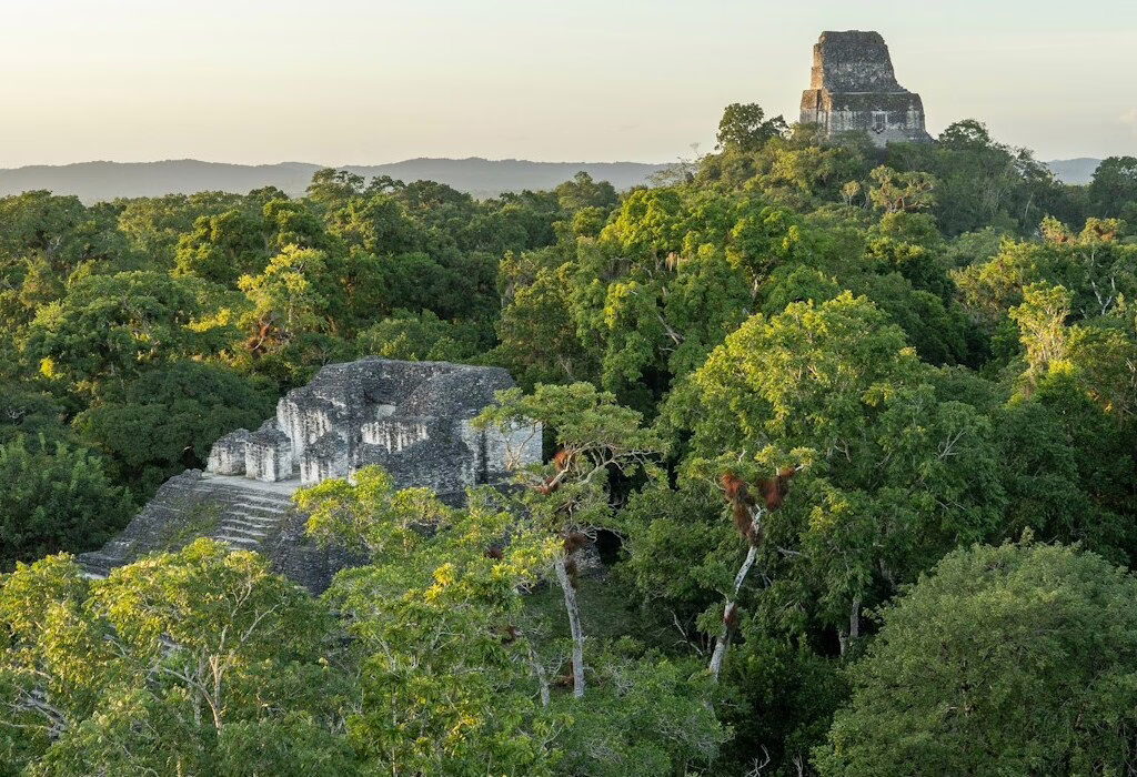 esperienze con la fauna selvatica (wildlife experience)