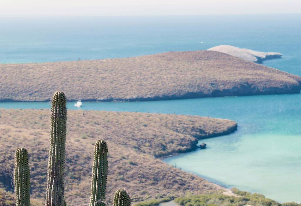 Desert islands and turquoise waters in Baja California Sur, a peaceful and safe nature destination in Mexico