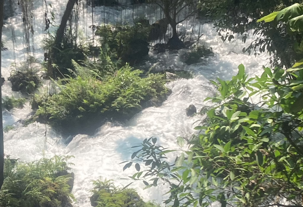 Lush tropical river landscape in Mexico surrounded by dense vegetation