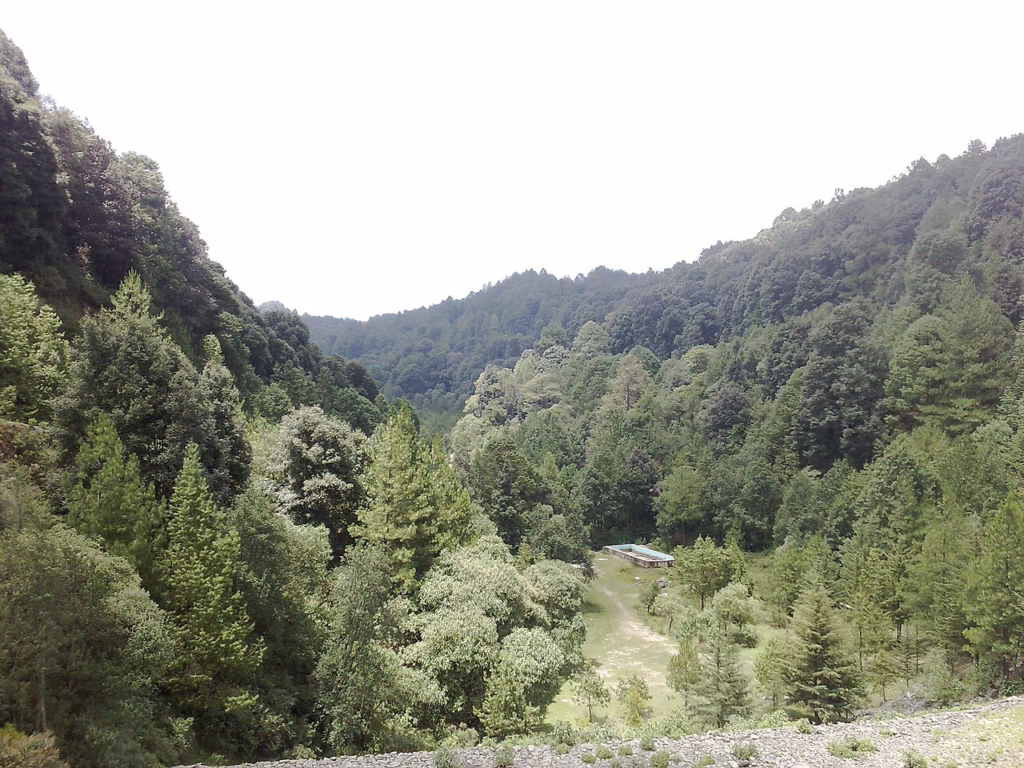 High-angle panoramic view of the lush green valley and dense oyamel forest surrounding the Presa del Llano ecological park in Villa del Carbón.