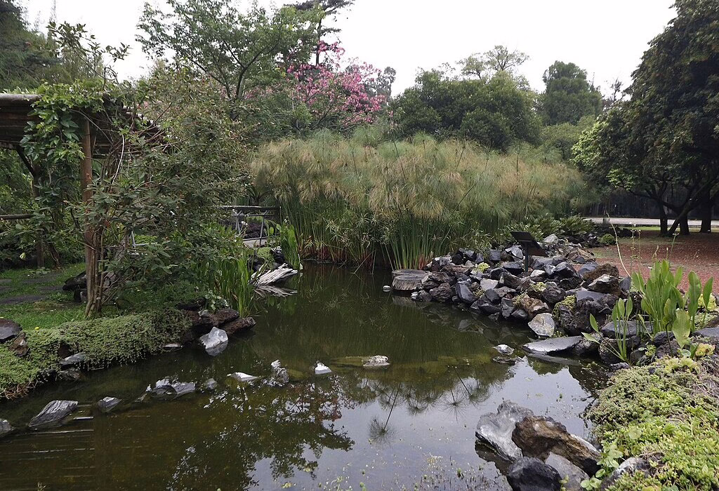 Botanical garden landscape at Chapultepec Park in Mexico City