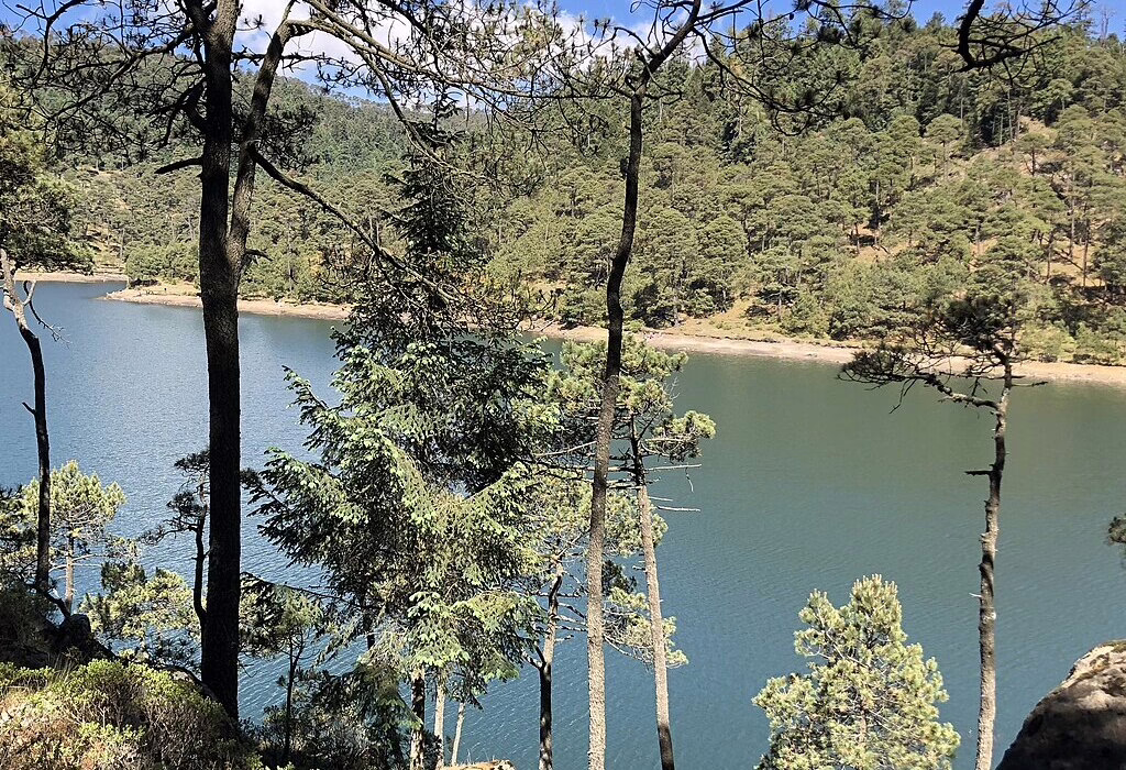 View of the deep blue water of Presa Iturbide in the State of Mexico, framed by pine trees and mountain vegetation under a clear sky.