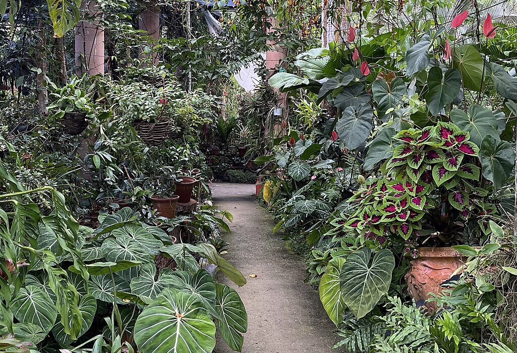 Tropical greenhouse at Vallarta Botanical Gardens in Puerto Vallarta, Mexico
