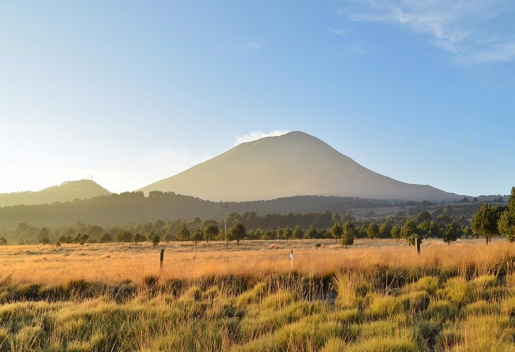 Volcanic landscape in Mexico where the national flower of Mexico grows in high-altitude regions