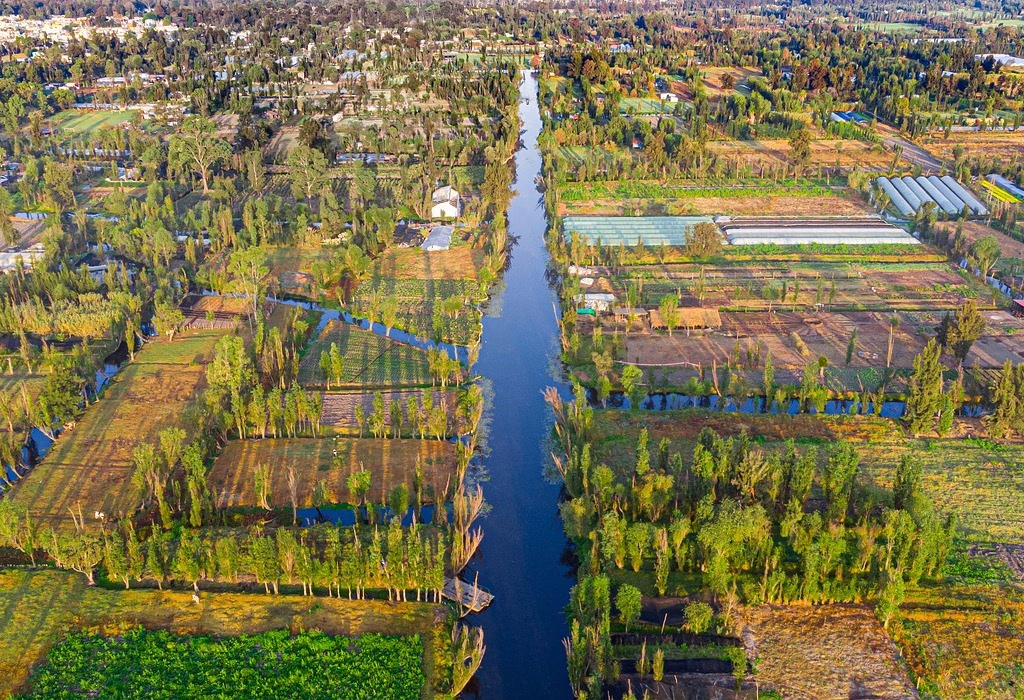 Aerial view of Xochimilco chinampas in Mexico City, traditional agricultural canals near the national flower of Mexico’s native regions