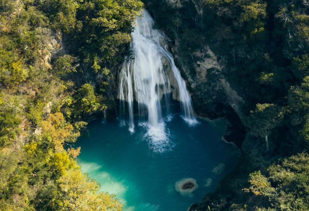 Waterfall surrounded by lush vegetation in Mexico, part of the diverse ecosystems where the national flower of Mexico grows