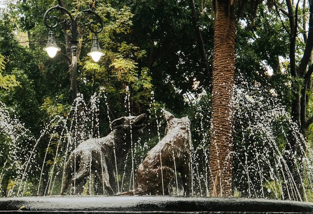 Close-up of the Coyote Fountain in Jardín Centenario, Coyoacán, showing the bronze statues and water jets. This is a primary landmark for fans staying in South Mexico City for FIFA World Cup 2026 matches.