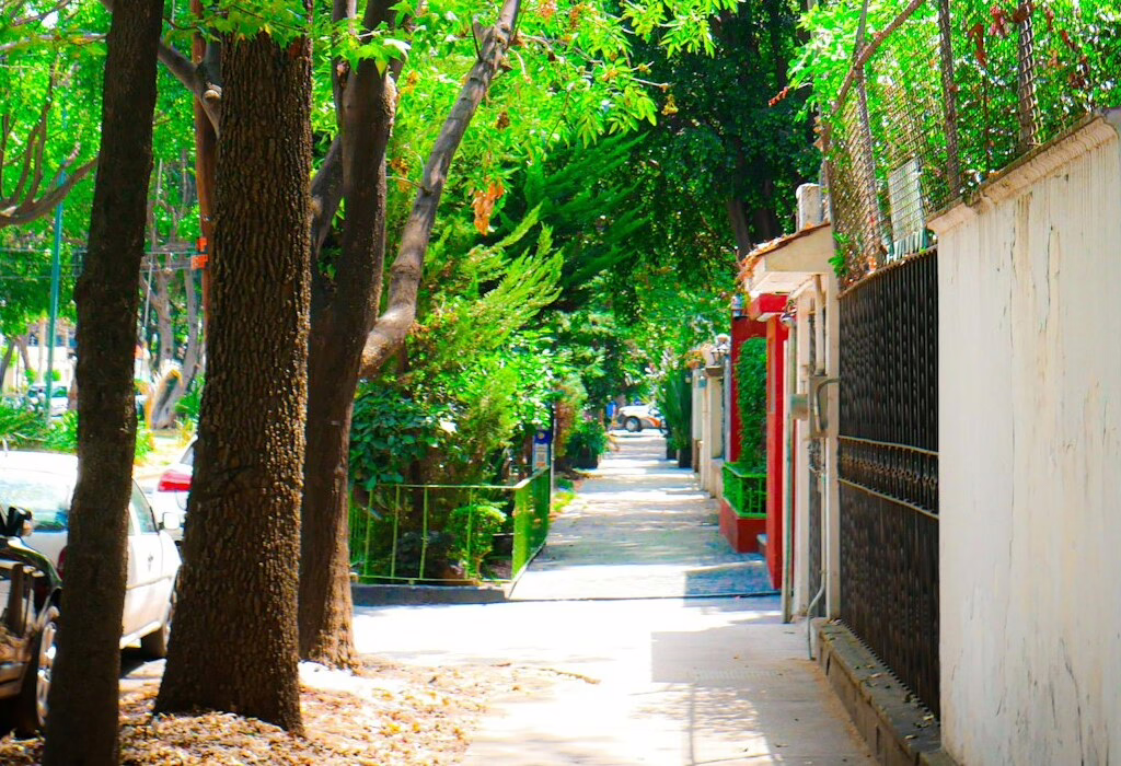 A quiet sidewalk in Mexico City with many green trees and shadows. There is a white wall and some cars parked on the side.
